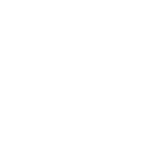 Business Due Diligence