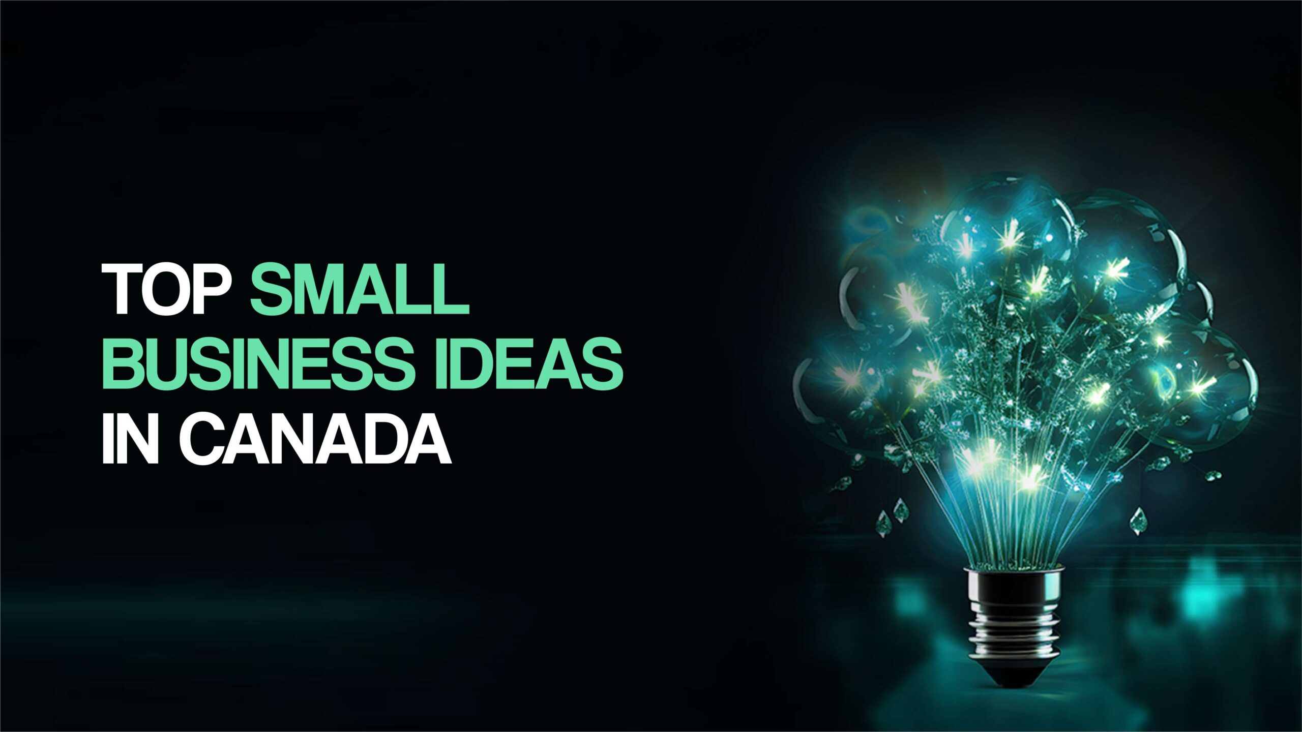 Business Ideas in Canada